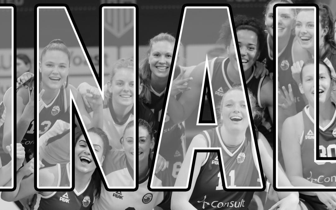 FINALE SERIES VOOR 4CONSULT/BINNENLAND